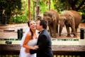 Un lieu de mariage original : Mariage au zoo